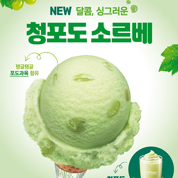  나뚜루, 청포도 제철 맞아 ‘청포도 소르베’ 출시