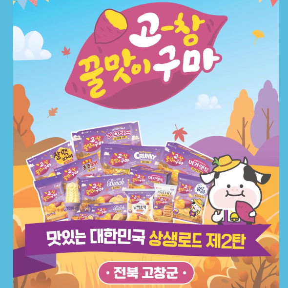  노랗고… 달콤하고… 맛있는… 고창 고구마