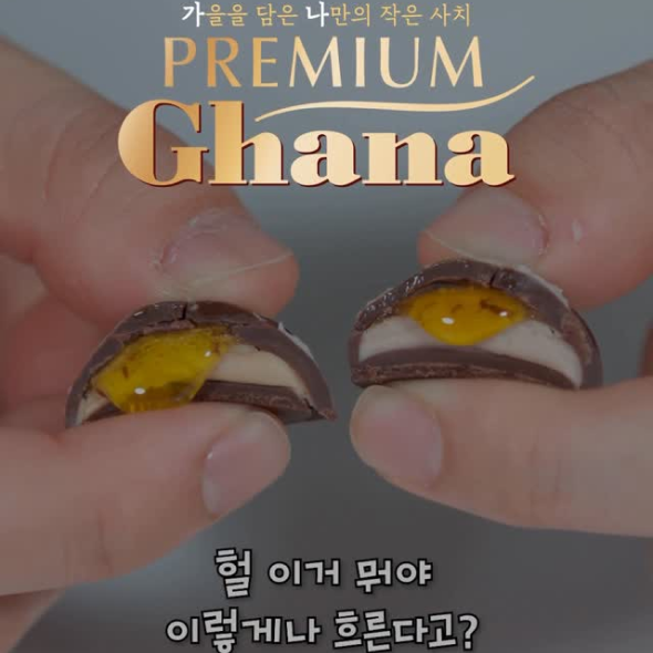  가을 향기 낭낭한 프리미엄 가나 가을 시즌 한정 쉘 2종