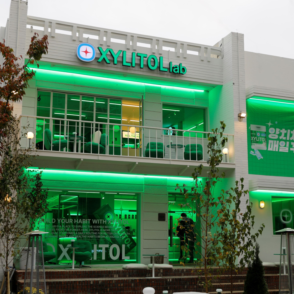  롯데웰푸드, 성수동에 자일리톨 팝업스토어 열어